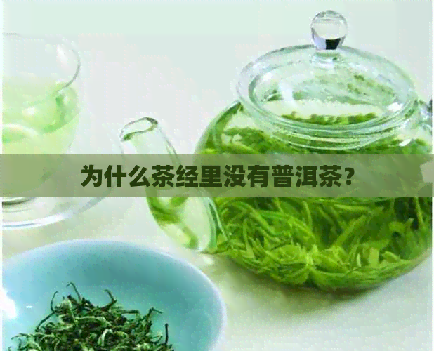 为什么茶经里没有普洱茶？