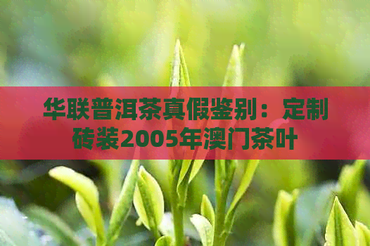 华联普洱茶真假鉴别：定制砖装2005年茶叶