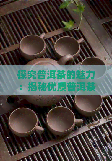 探究普洱茶的魅力：揭秘优质普洱茶原料的秘密