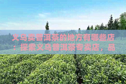 义乌卖普洱茶的地方有哪些店：探索义乌普洱茶专卖店，品味茶文化。