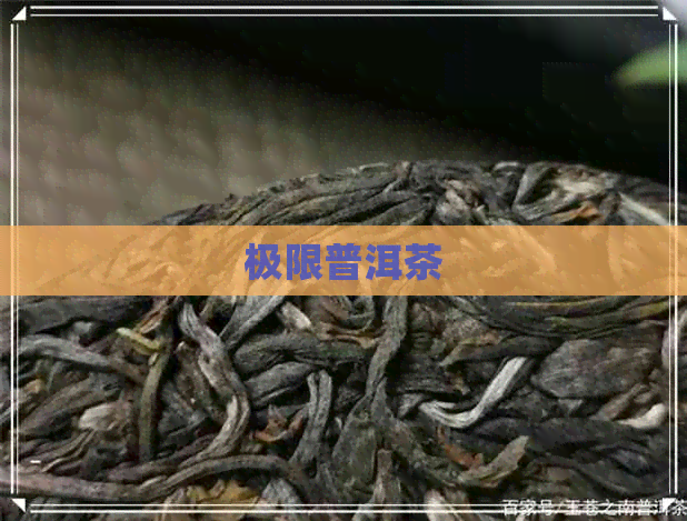 极限普洱茶