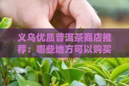 义乌优质普洱茶商店推荐：哪些地方可以购买到正品普洱茶？