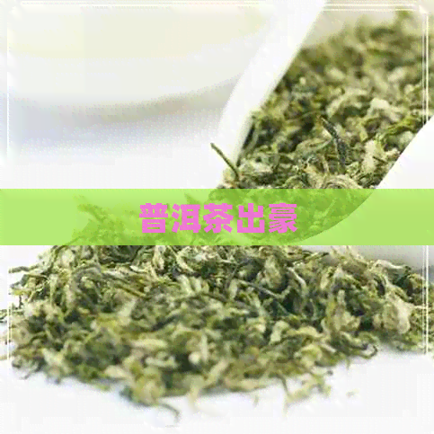 普洱茶出豪