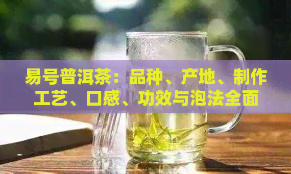 易号普洱茶：品种、产地、制作工艺、口感、功效与泡法全面解析