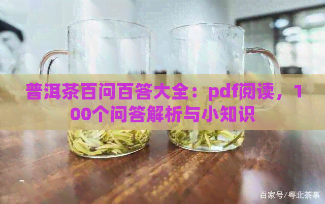 普洱茶百问百答大全：pdf阅读，100个问答解析与小知识