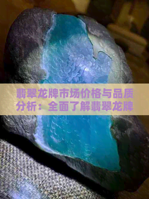 翡翠龙牌市场价格与品质分析：全面了解翡翠龙牌的选购指南和价格区间