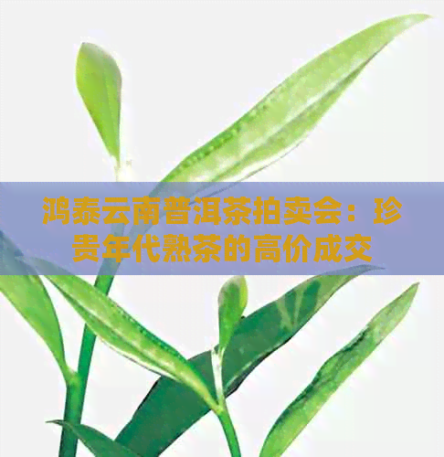 鸿泰云南普洱茶拍卖会：珍贵年代熟茶的高价成交