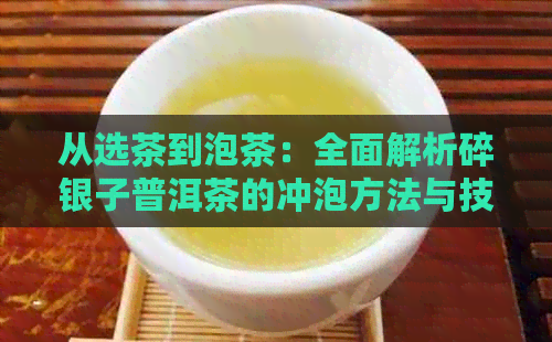 从选茶到泡茶：全面解析碎银子普洱茶的冲泡方法与技巧