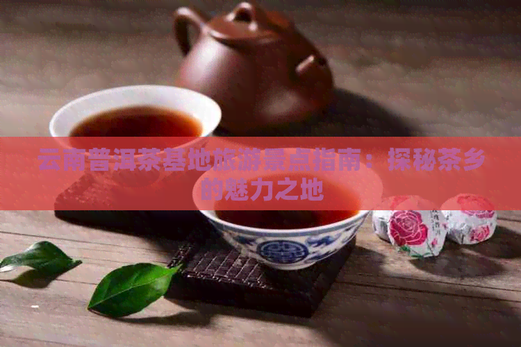 云南普洱茶基地旅游景点指南：探秘茶乡的魅力之地