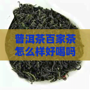 普洱茶百家茶怎么样好喝吗