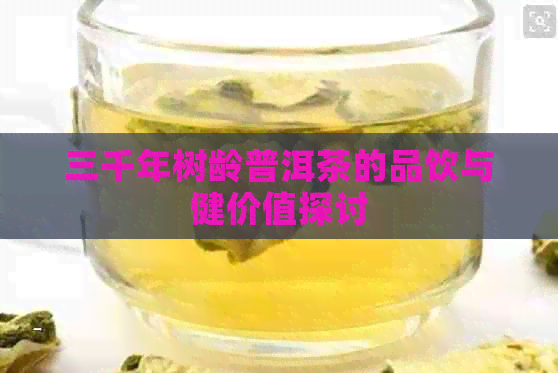 三千年树龄普洱茶的品饮与健价值探讨