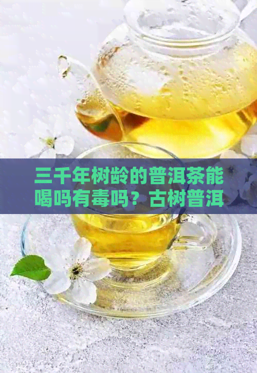 三千年树龄的普洱茶能喝吗有吗？古树普洱茶树数量统计。