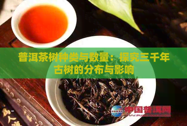 普洱茶树种类与数量：探究三千年古树的分布与影响