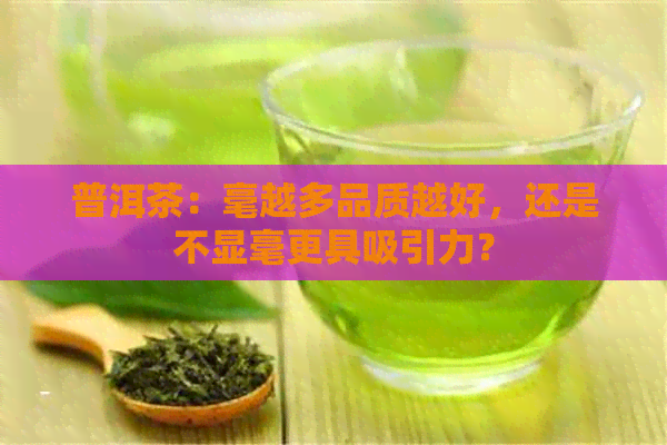 普洱茶：毫越多品质越好，还是不显毫更具吸引力？