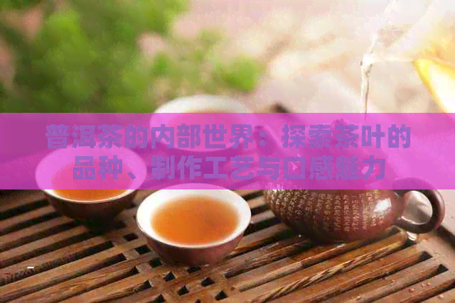 普洱茶的内部世界：探索茶叶的品种、制作工艺与口感魅力