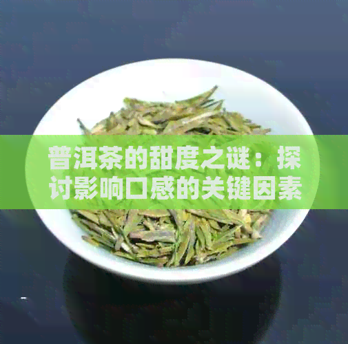 普洱茶的甜度之谜：探讨影响口感的关键因素与非相关元素