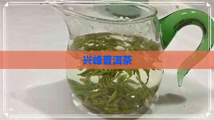 兴峰普洱茶