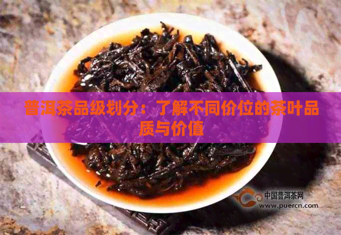 普洱茶品级划分：了解不同价位的茶叶品质与价值