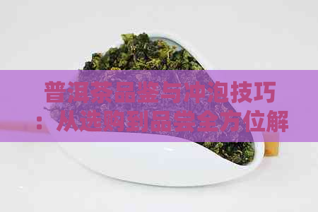 普洱茶品鉴与冲泡技巧：从选购到品尝全方位解析