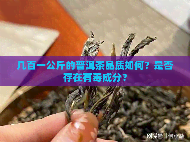 几百一公斤的普洱茶品质如何？是否存在有成分？