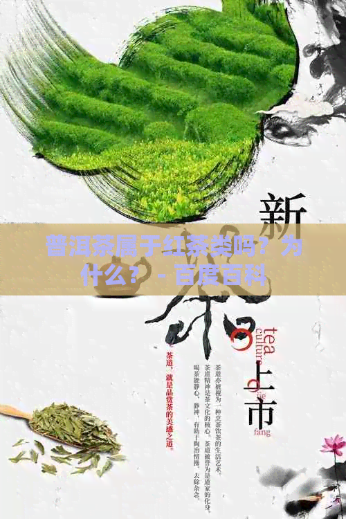 普洱茶属于红茶类吗？为什么？ - 百度百科