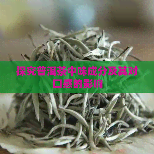 探究普洱茶中味成分及其对口感的影响