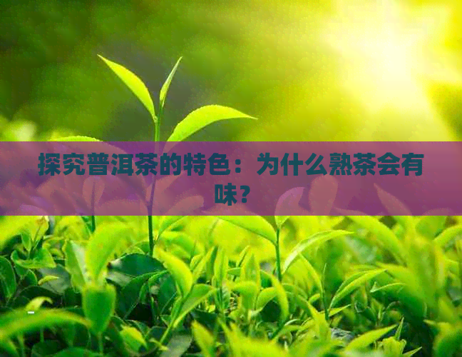 探究普洱茶的特色：为什么熟茶会有味？