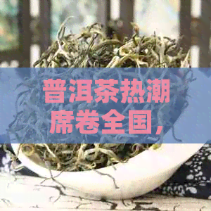 普洱茶热潮席卷全国，存量告急，市场供需失如何解决？