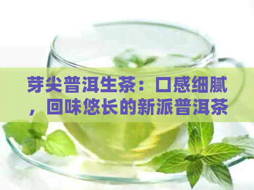 芽尖普洱生茶：口感细腻，回味悠长的新派普洱茶品