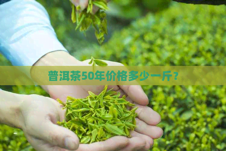 普洱茶50年价格多少一斤？