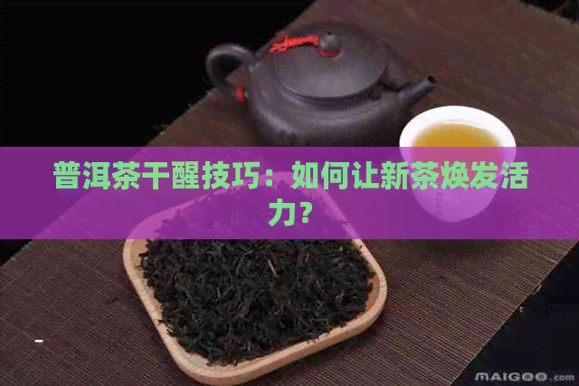 普洱茶干醒技巧：如何让新茶焕发活力？