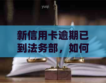 新信用卡逾期已到法务部，如何应对和解决相关问题？