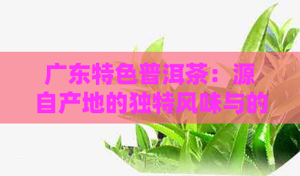 广东特色普洱茶：源自产地的独特风味与的现代物流