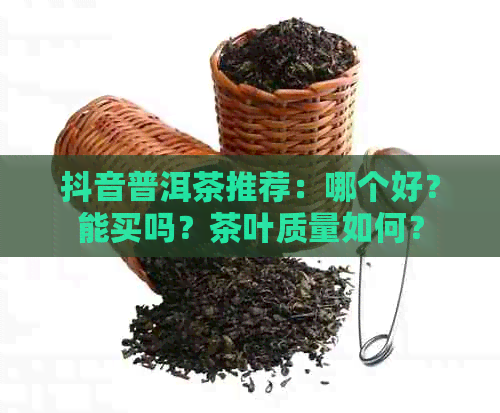 抖音普洱茶推荐：哪个好？能买吗？茶叶质量如何？