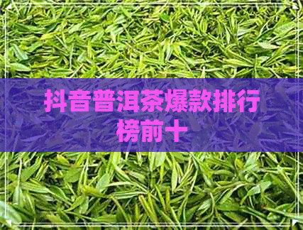 抖音普洱茶爆款排行榜前十