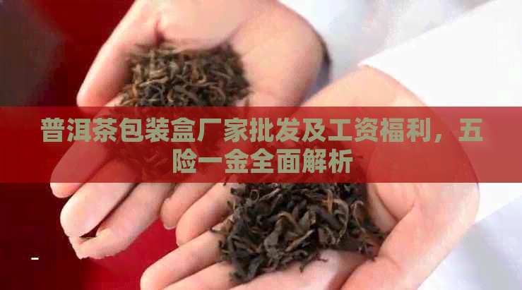 普洱茶包装盒厂家批发及工资福利，五险一金全面解析