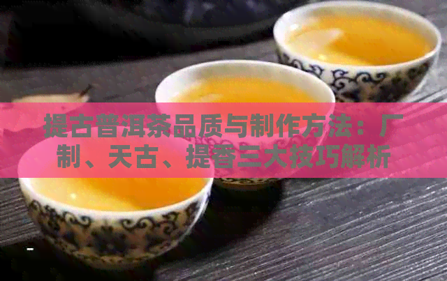 提古普洱茶品质与制作方法：厂制、天古、提香三大技巧解析