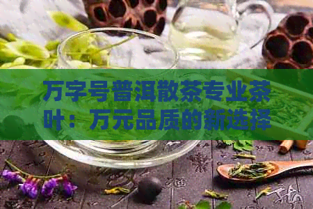 万字号普洱散茶专业茶叶：万元品质的新选择