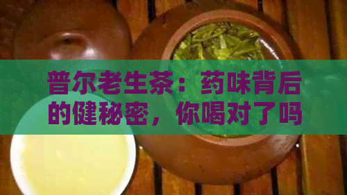 普尔老生茶：药味背后的健秘密，你喝对了吗？