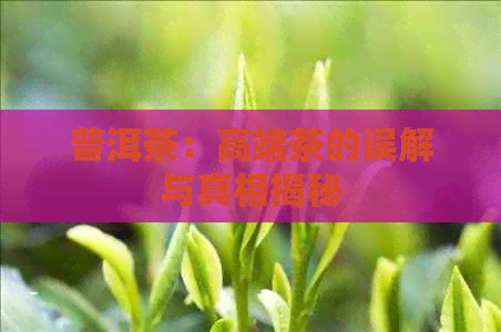 普洱茶：高端茶的误解与真相揭秘