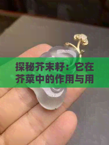 探秘芥末籽：它在芥菜中的作用与用途