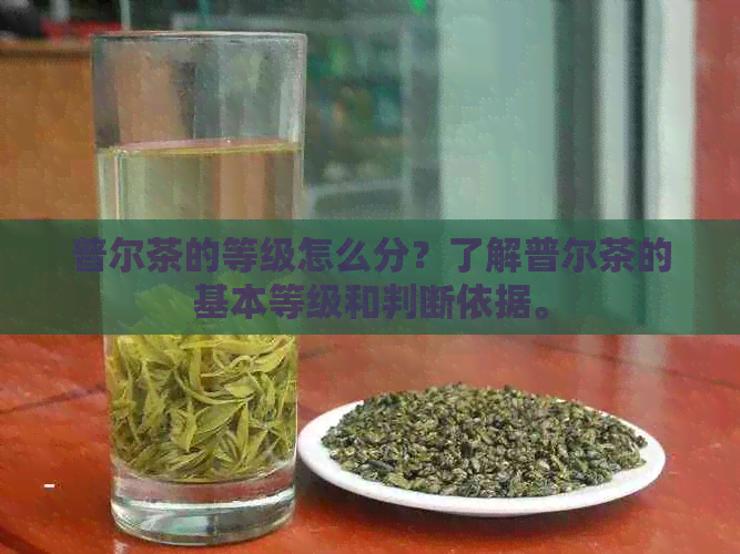 普尔茶的等级怎么分？了解普尔茶的基本等级和判断依据。