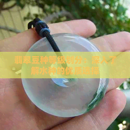 翡翠豆种等级划分：深入了解水种的优质选择