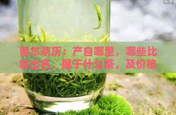 普尔茶历：产自哪里，哪些比较出名，属于什么茶，及价格。