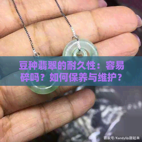 豆种翡翠的耐久性：容易碎吗？如何保养与维护？