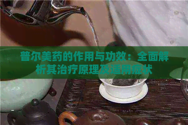 普尔美药的作用与功效：全面解析其治疗原理及适用症状