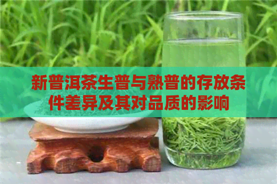 新普洱茶生普与熟普的存放条件差异及其对品质的影响