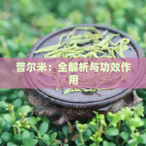 普尔米：全解析与功效作用