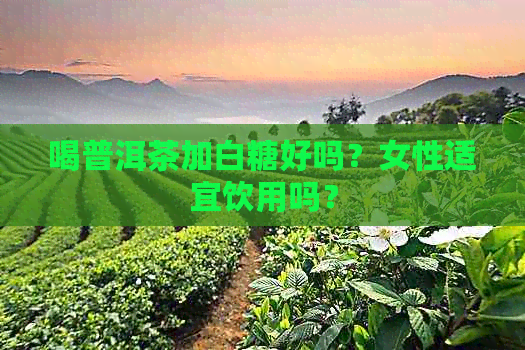 喝普洱茶加白糖好吗？女性适宜饮用吗？