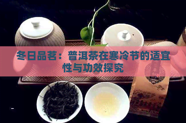 冬日品茗：普洱茶在寒冷节的适宜性与功效探究